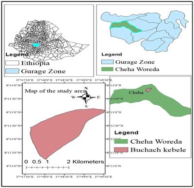 Chickpea (Cicer arietinum L.) growth, nodulation, and yield as affected by varieties, Mesorhizobium strains, and NPSB fertilizer in Southern Ethiopia